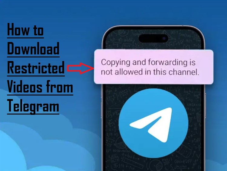 别乱加！Telegram 加好友有 “隐形额度”，超了会被限制