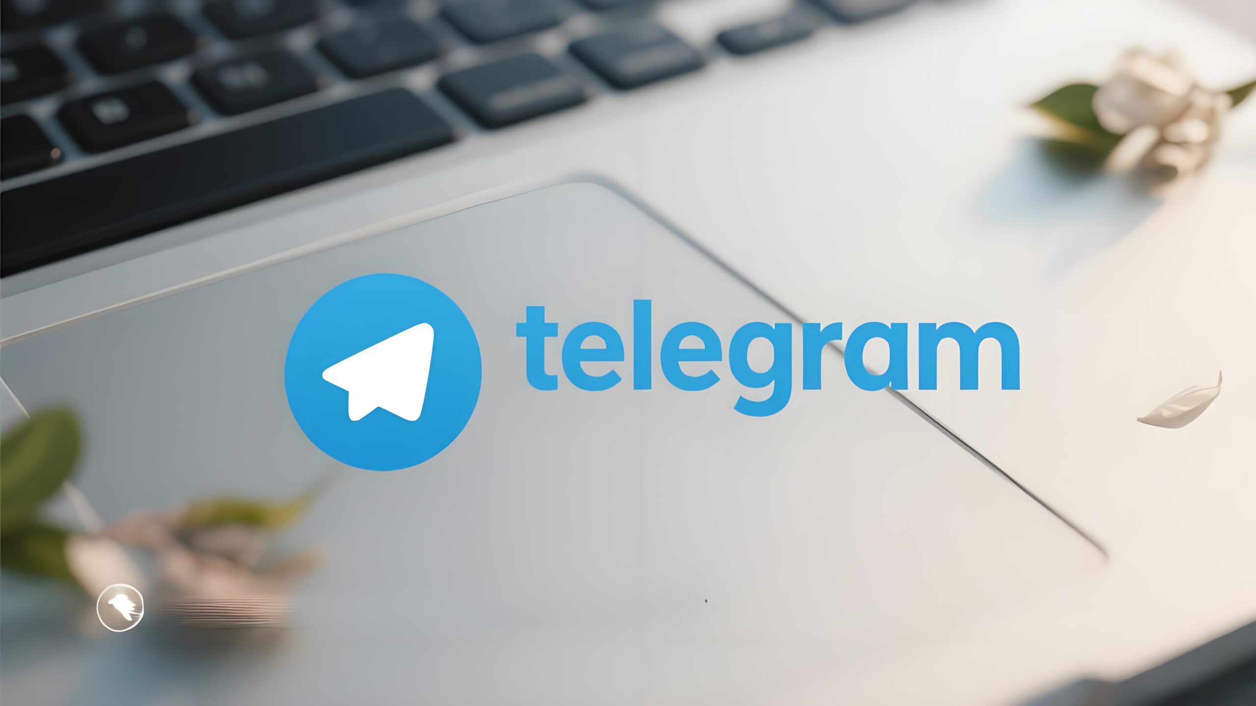 想第一时间体验Telegram新功能？关键技巧在这里！